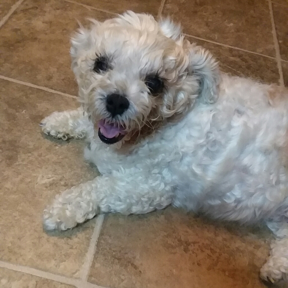 Meet your Posher, Caroline - Picture 8 of 12